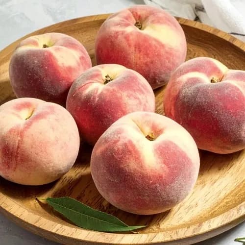 대극천 복숭아 1kg 중소과 10~12과 (무료배송)