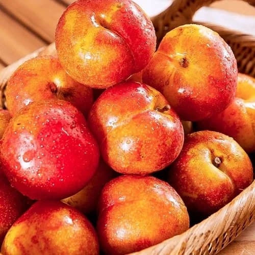 후무사 자두 1kg (개당 60g미만) (무료배송)