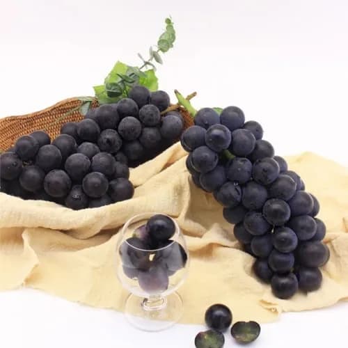 거봉 500g (1수) (무료배송)