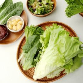 유러피안 샐러드 채소 1kg(4종 이상 랜덤) GAP 인증 (5,460원/무료)