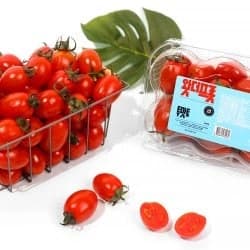 스테비아 방울토마토 500g 4팩 총 2kg (11,830원/무료)