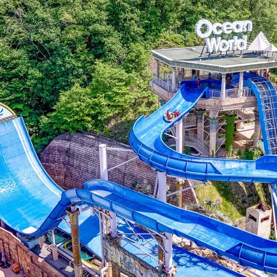 비발디파크 오션월드 얼리썸머 1인 종일권 (28,500원/무료)