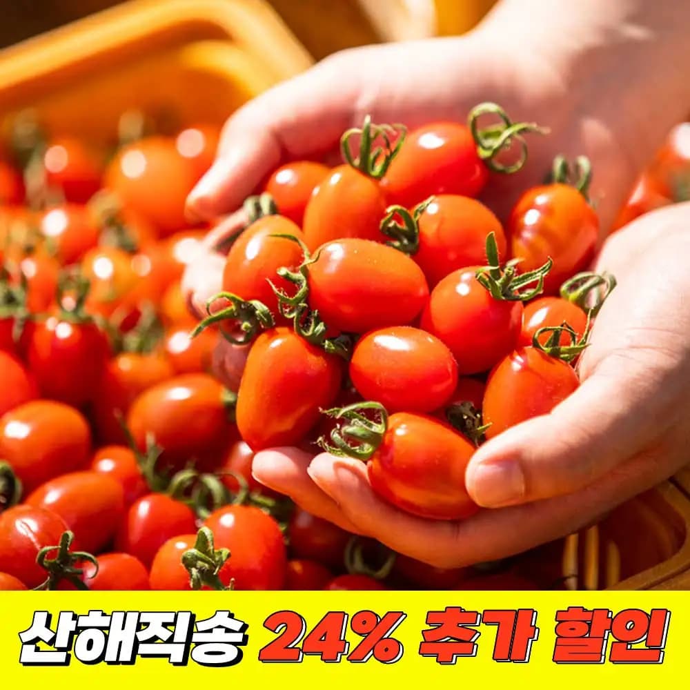 코인딜 대추방울토마토 로얄과 2kg (4,071원/무료)