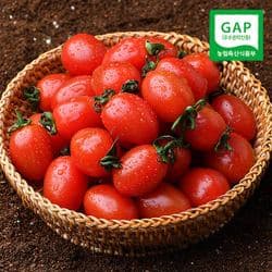 달콤한 대추방울토마토 2kg (1-3번과) (6,545원/무료)