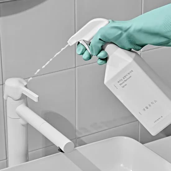 곰팡이 제거제 750ml 3입