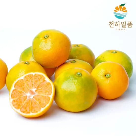 제주 하우스 감귤 1.5kg 소과 로얄 2S-S/M