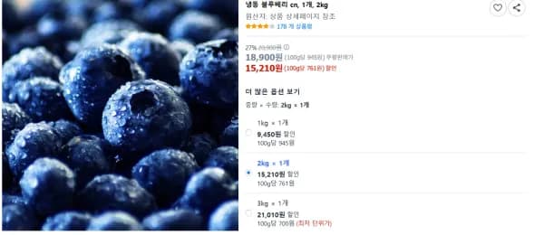 냉동 블루베리 cn 1개 2kg