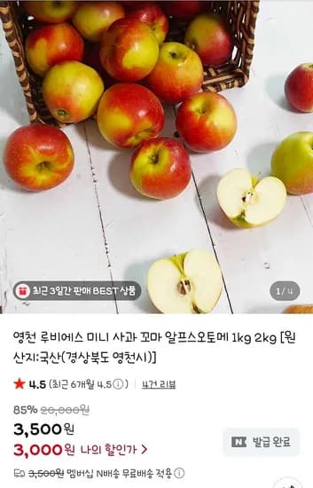 꿀한당 루비에스 미니사과 2kg