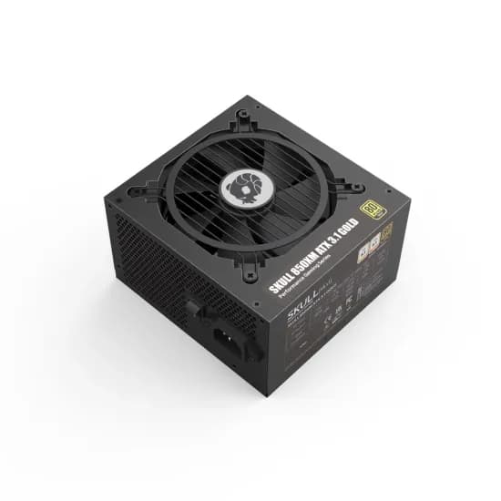 SKULL 650W ~ 1000W CWT 시리즈 850XM 외 다양 5건