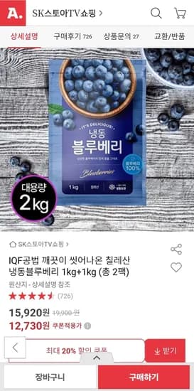 칠레산 세척 냉동블루베리 1kg 2팩 총 2kg