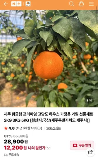 제주 황금향 꼬마과 3kg