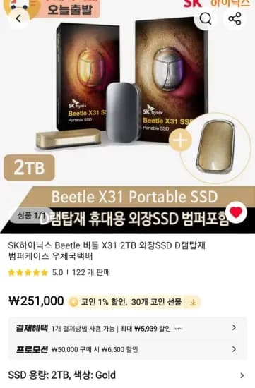 SK하이닉스 Beetle 비틀 X31 2TB 외장SSD D램탑재
