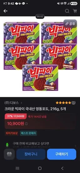 빅파이 영동포도