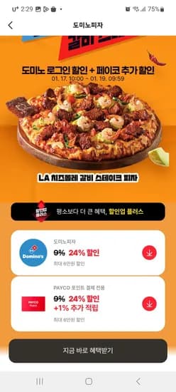도미노피자 페이코 24% 추가할인