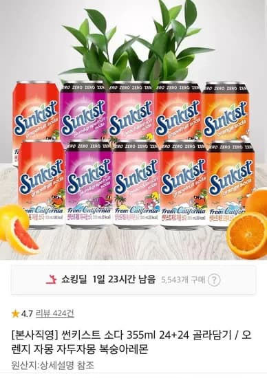 썬키스트 소다 5종 355ml 48캔