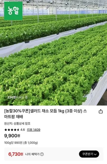 샐러드 채소 모듬 1kg (6,730원/무료)