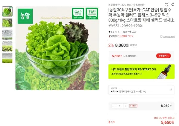 당일수확 무농약 샐러드 쌈채소 3~5종 랜덤 800g/1kg | 봄동 1.5kg 4540원 (5,650원/무료)