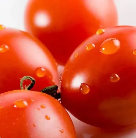 대추방울토마토 2kg 소과