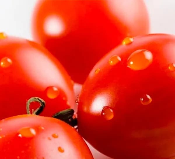 대추방울토마토 2kg 소과 (8,820원/무료)