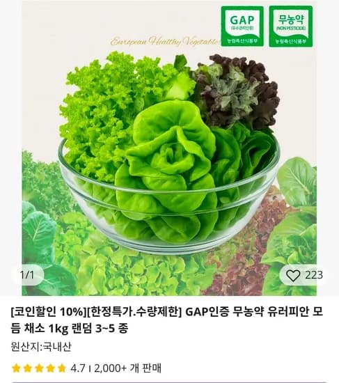 GAP인증 무농약 유러피안 모듬 채소 1kg 3~5종