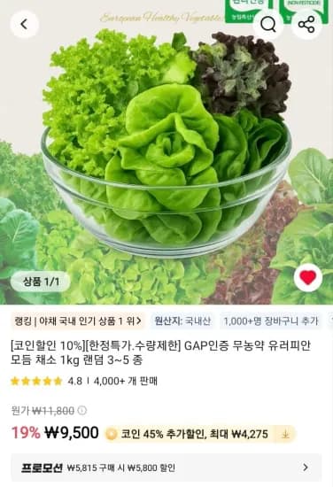 무농약 유러피안 모듬 채소 1kg 랜덤 3~5 종 (5,225원/무료)