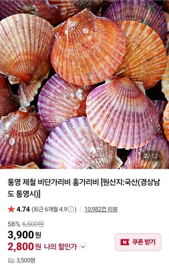 세척 홍가리비 4kg