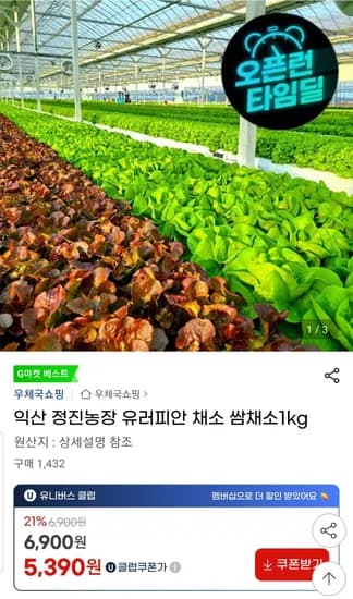 유러피안 채소 쌈채소 1kg 유클 (5,390원/무료)