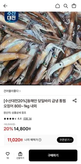 급냉 통찜오징어 800~1kg (11,020원/무료)
