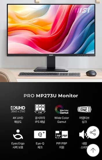 MSI MP273U 4K IPS UHD 60Hz 모니터