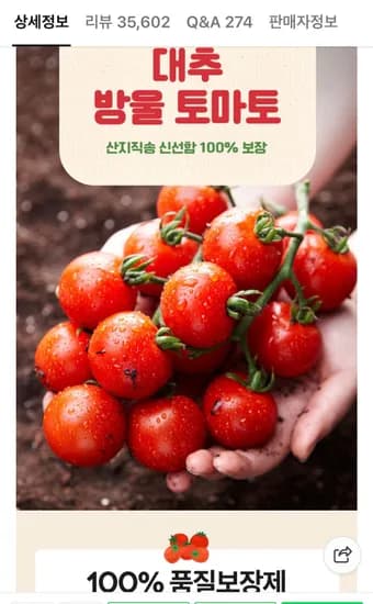 방울토마토 1kg 4-5번과