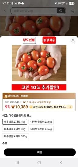 산지직송 대추방울토마토 3kg (15,908원/무료)