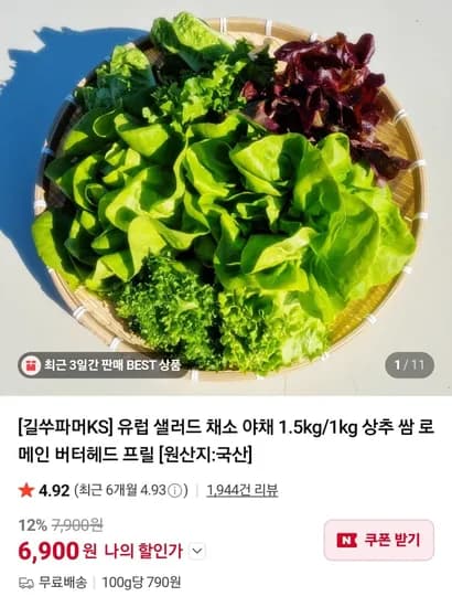유럽 샐러드 채소 야채 1kg/1.5kg (6,900원/무료)