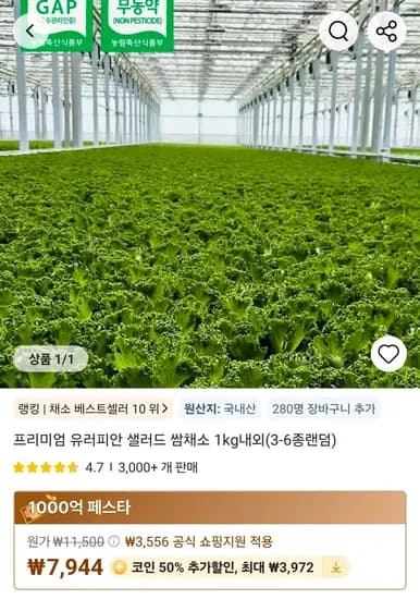 코인딜) 프리미엄 유러피안 샐러드 쌈채소 1kg 내외 (3-6종 랜덤) (3,972원/무료)
