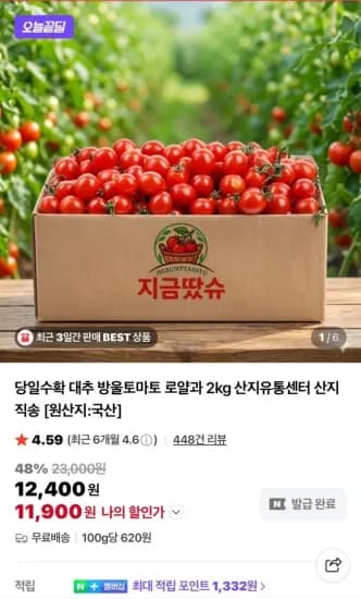 당일수확 대추 방울토마토 로얄과 2kg  (11,900원/무료)