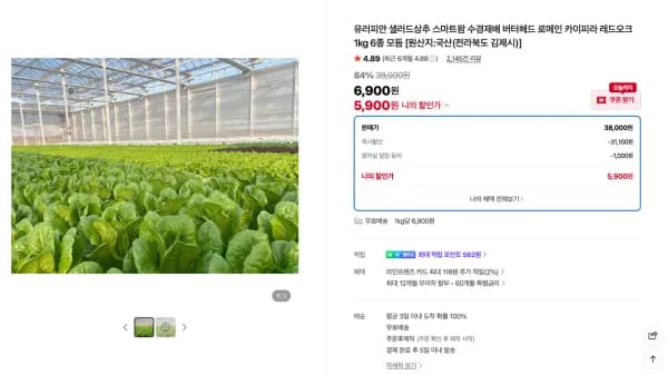 유러피안 샐러드상추 스마트팜 수경재배 1kg 베이직 4종 (5,900원/무료)