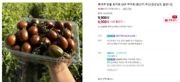 GAP 흑대추방울토마토 1kg (6,900원/무료)