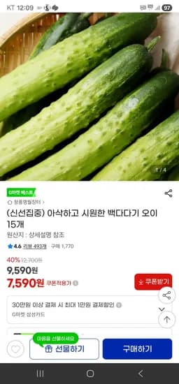 아삭하고 시원한 백다다기 오이 15개 (7,590원/무료)