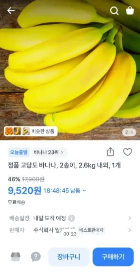 바나나 2송이 2.6kg 내외 (9,520원/무료)