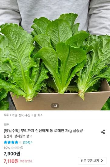 통로메인 청상추 2kg (7,110원/무료)