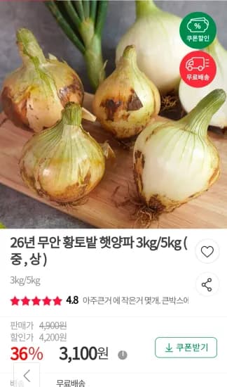 26년 무안 황토밭 햇양파 3kg 중 (3,100원/무료)
