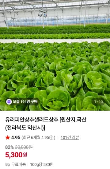 유러피안샐러드 1kg (5,300원/무료)