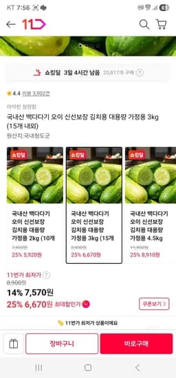 백다다기 오이 김치용 3kg