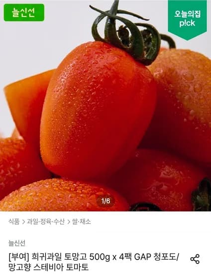 토망고 500g 4팩 외 다양
