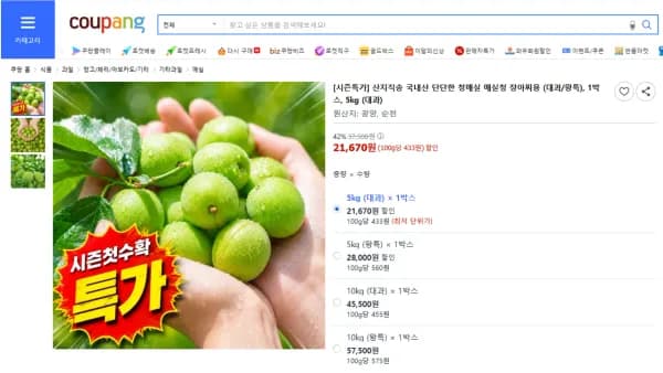 국내산 청매실 시즌 첫 수확 외 다양 20kg