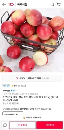 신비복숭아 중소과 1kg 외 다양