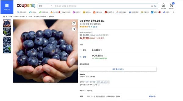 냉동 블루베리 실속형 외 다양, 2kg (2개), 14,820원