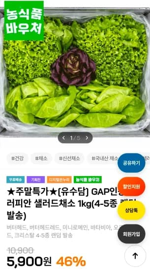 GAP인증 유러피안 샐러드채소 외 다양 1kg (4-5종 랜덤 발송) 1개