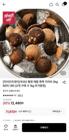 국내산 통영 제철 흑백 가리비 3kg 60미 내외 (2개 구매 시 1kg 추가증정) (11,610원/무료)
