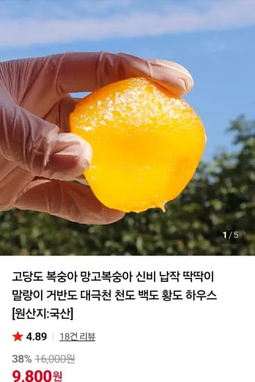 망고복숭아 1.5kg 대과 10-12과 (9,800원/무료)