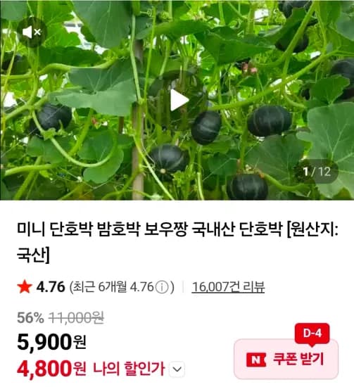 미니단호박 2kg  (4,800원/무료)